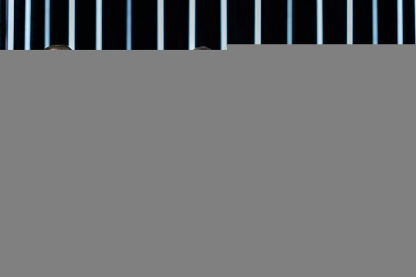 Cостав Бразильской paiN Gaming по Counter-Strike 2 могут пополнить ewjerkz и vsm — СМИ​